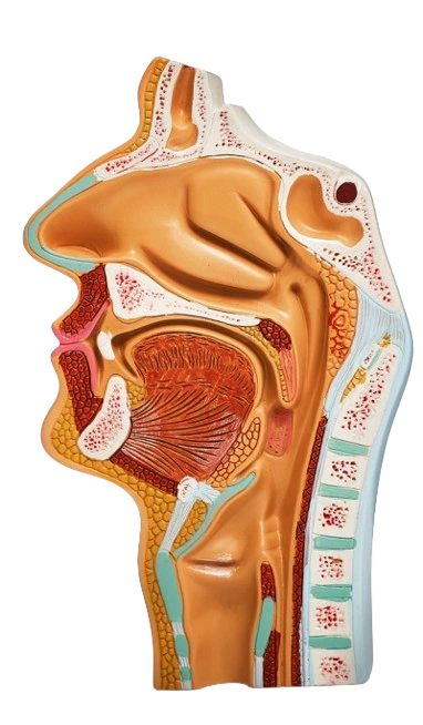 Dr. Sourav Chakraborty Clinic