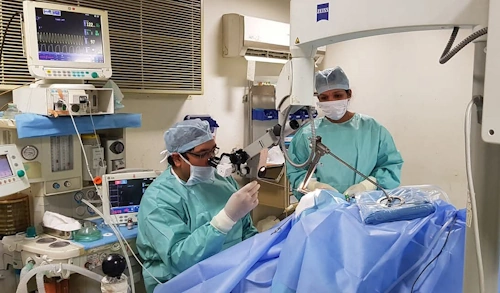 best ent clinic in jamia nagar